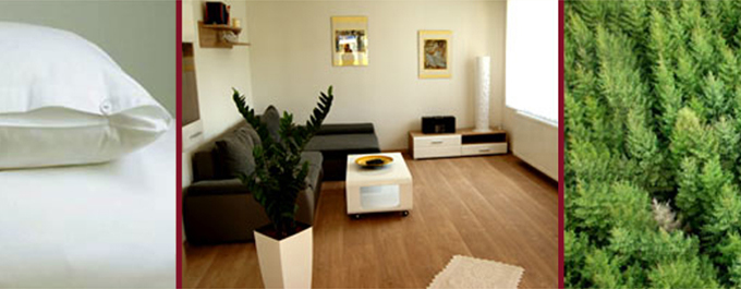 Bild: Impressionen der Ferienwohnung